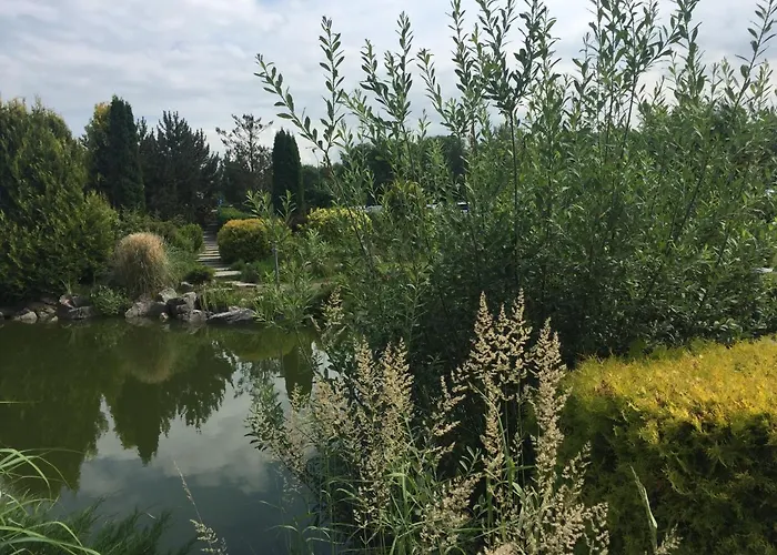 Arka Deluxe 723b * Kolobrzeg