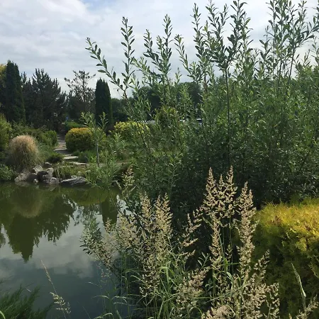 Arka Deluxe 723b * Kołobrzeg