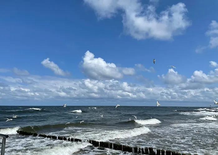 Arka Deluxe 723b 코워브제크